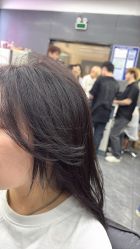 -藤野造型