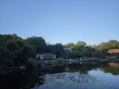 -顺峰山公园
