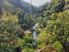 -云溪植物园