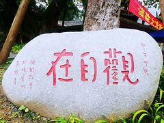 -峨眉山报国寺