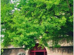 -北京石刻艺术博物馆(五塔寺)