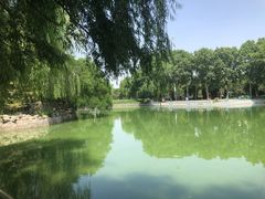 -黄村公园