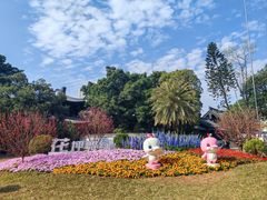 -荔湾湖公园