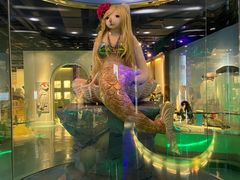 -成都泰迪熊博物馆