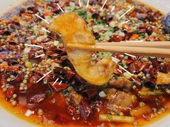 江团来凤鱼-兔槽江湖菜·重庆璧山兔(水围店)