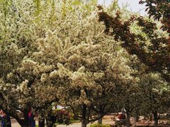 -元大都城垣遗址公园