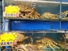 阿拉斯加长脚蟹-蚝专家(北滘店)