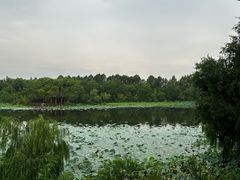 -上海怡沁园度假酒店
