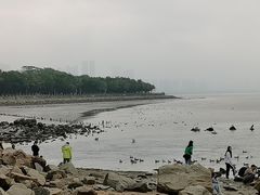 -深圳湾公园(南山区)