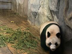 -深圳野生动物园