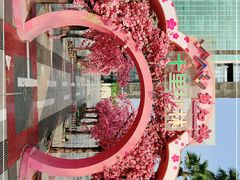 -深圳华盛奥特莱斯(华南一道店)