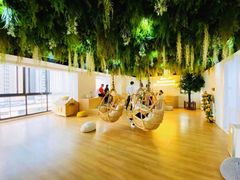 -Husky Go! 哈士奇体验馆·宠物咖啡厅狗咖