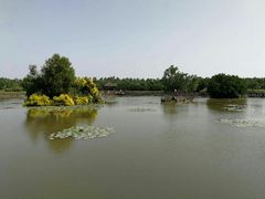 -大湾区中央湿地公园