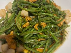 -清雅臻品·竹林院落·新派青岛菜(崂山店)