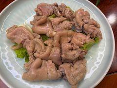 -丁老爷子苏香圆