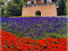 -深圳国际园林花卉博览园