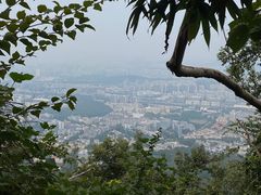 -紫金山山顶公园
