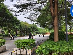 -文华公园(禅城区)