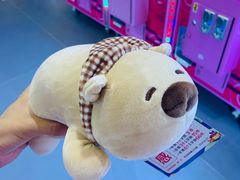 -爱玩嘉年华(江北一店)