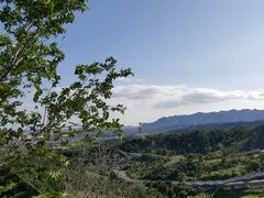 -大青山野生动物园