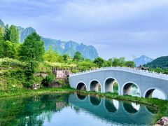 -王莽岭风景区