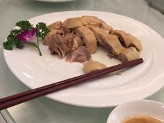 -黄埔华苑酒家(黄埔总店)