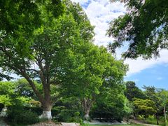 -青岛德国总督楼旧址博物馆