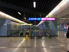 -大龙山(地铁站)