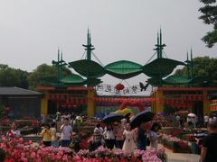 -松山湖梦幻百花洲