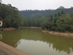 -滴水岩森林公园