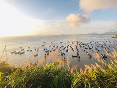 -枸杞岛