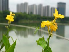 -南翔镇银翔湖公园