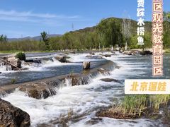 -门城湖公园