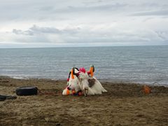 -青海湖国家重点风景名胜区售票处