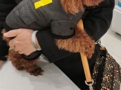 -惠康宠物医院(华能路店)