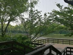 -新江湾城公园