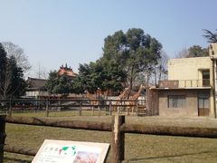 -成都动物园