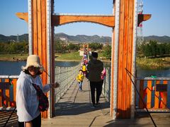 -羊亭河湿地公园