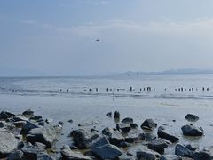 -深圳湾公园(南山区)