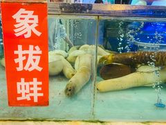 水产区-青石桥市场北1-27号