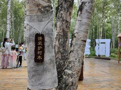 -汤旺河林海奇石景区