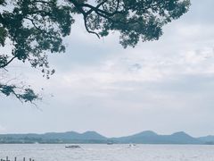 -湖畔居茶楼(湖滨店)