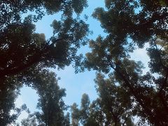 -森林公园(尖草坪区)