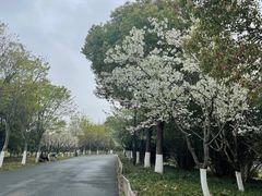 -东湖落雁景区