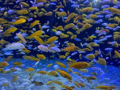 -成都浩海立方海洋公园