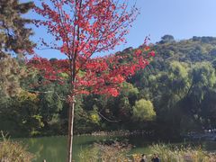 -香山公园