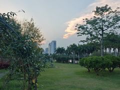 -南宁南湖公园