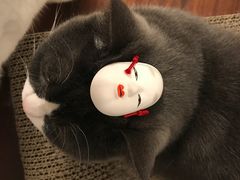 -京都冈本和服体验租赁店(清水寺店)