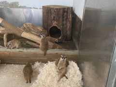 -大连森林动物园