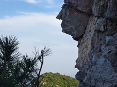 -金龙寺国家森林公园